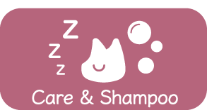 Care & Shampoo